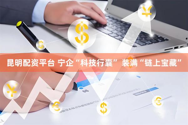 昆明配资平台 宁企“科技行囊” 装满“链上宝藏”